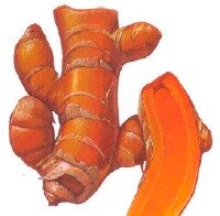 turmeric_root